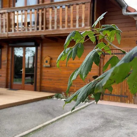 Chalet Aster 3 Etoiles Arrentes-de-Corcieux