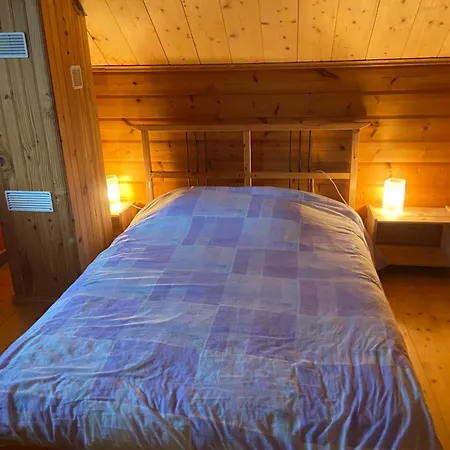 Chalet Aster 3 Etoiles *