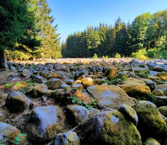 Aster 3 Etoiles Arrentès-de-Corcieux