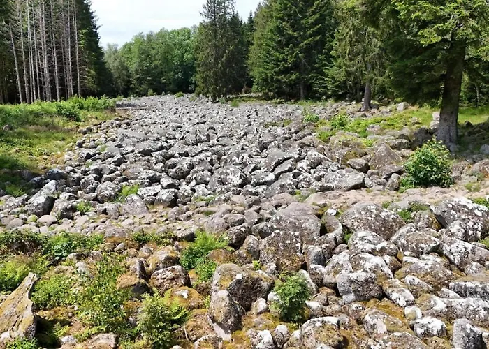 Alpstuga Aster 3 Etoiles *